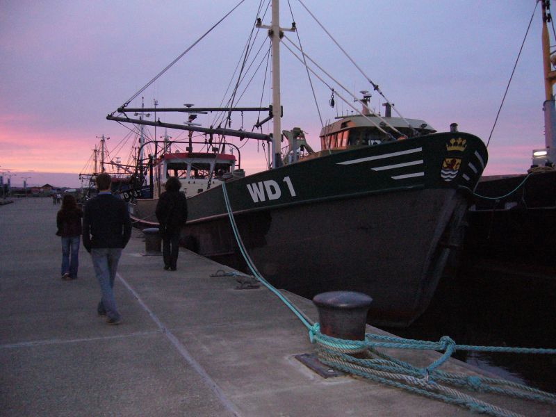 P1010699.JPG