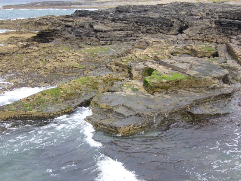 P1010725.JPG