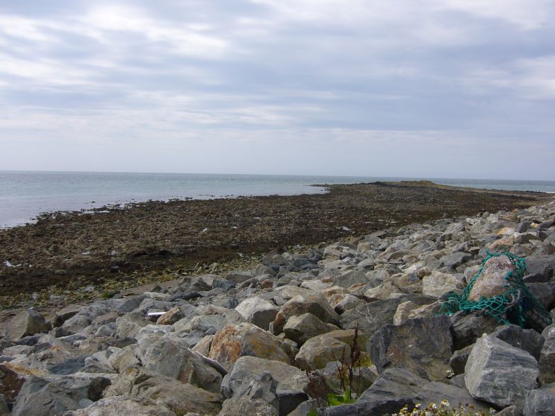 P1010734.JPG