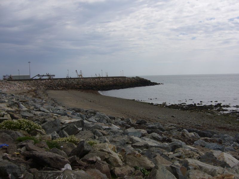 P1010735.JPG