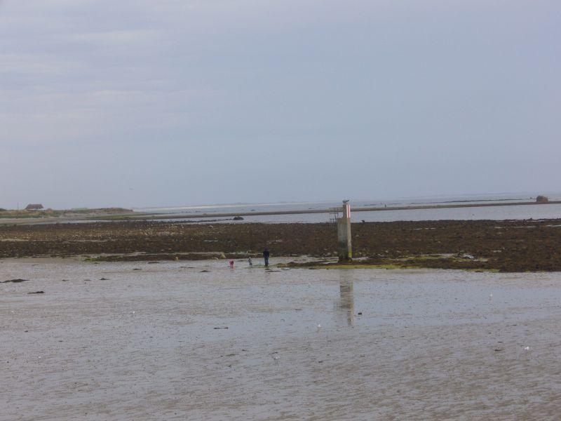 P1010740.JPG