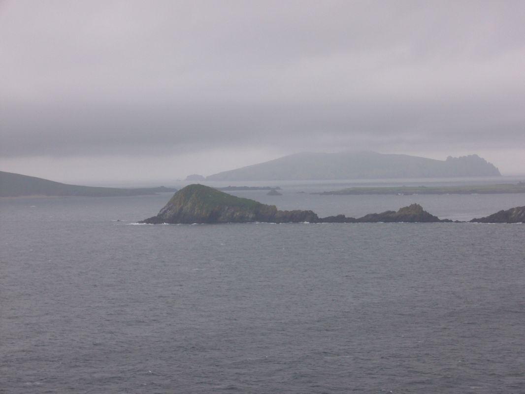 P1010877.JPG