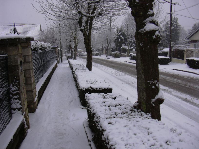 DSCN1008.JPG
