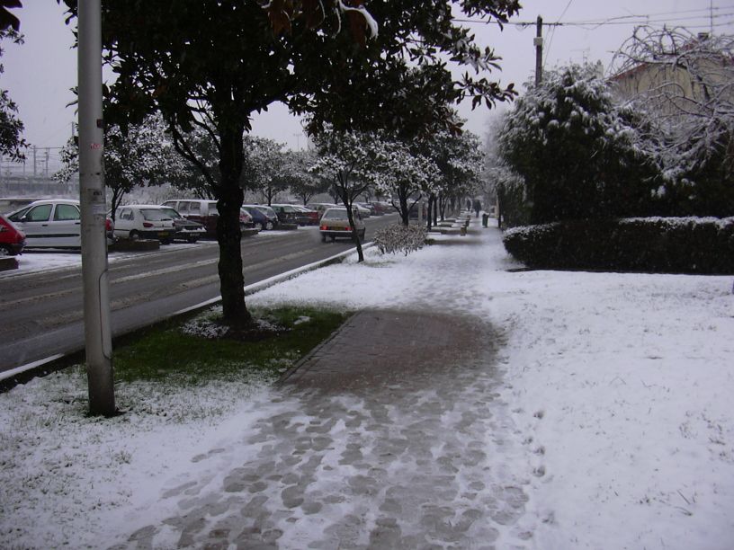 DSCN1013.JPG