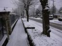 DSCN1008.JPG