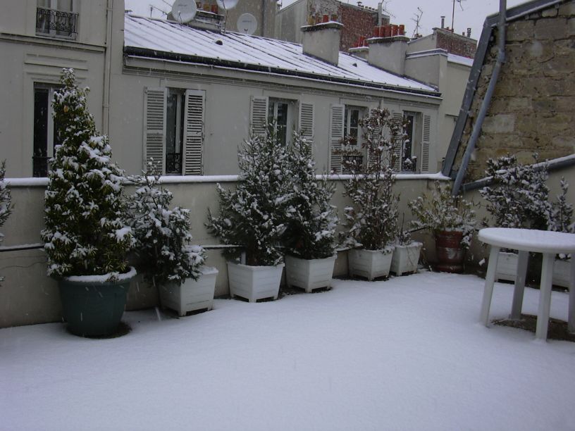 DSCN0990.JPG